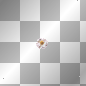animated daisy flower