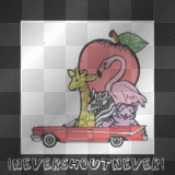 NeverShoutNever!