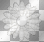 fleur -c fleur -c