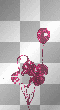 Balloons Balloons