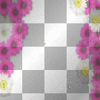 Ramki border frame