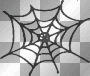 Spiders Web