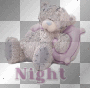 Night Bear