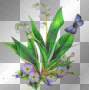 muguet