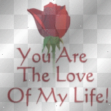 You Are The Love Of My Life!