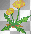 fiore @ro@