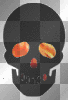 skull skull