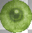 eyeball*by Shayleatone