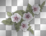 forget-me-not Left