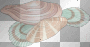 Seashells Seashells