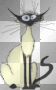 comical crazy cat