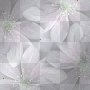 White Background