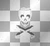 skull bones