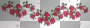 Roses and stars