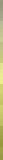 YELLOW VERTICAL BAND
