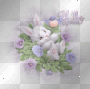 cute rabbit