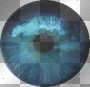 Blue/Green Eye