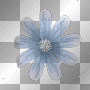 blue flower