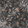 PWG Background~Orange Mousey PWG Background~Orange Mousey