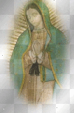VIRGEN DE GUADALUPE