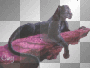 black panther