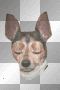 augface sleepy