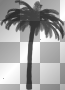 LATO SUMMER TREE