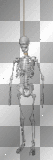 bones