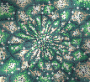 goldengreen goldengreen
