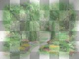 Nature Backround ©®©