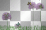 Wild Flowers & Butterflies ©☼©
