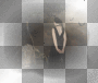 girl bg