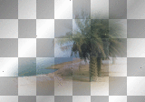 LATO SUMMER  TRANSPARENT 