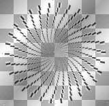 Spirale by RHCPMiky