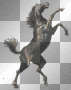 LATO SUMMER  TRANSPARENT ANIMAL HORSE 