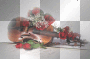 violin