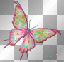 Butterfly_By DAG.95