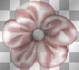 FLOWER..