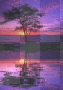 coucher de soleil