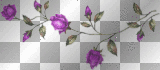 FLOWERS.. 