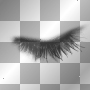 lash lash