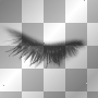 lash lash