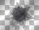 anime black flower emo gothic