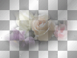 LATO SUMMER  TRANSPARENT FLOWER 