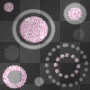 pink circles pink circles