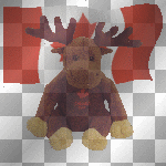 canada moose