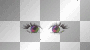 eyes