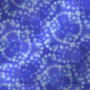 animated background / SCRAPWORLD
