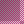 pink transparent net