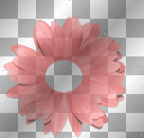 daisy cut out daisy cut out